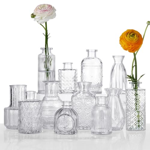Glass Bud Vases Set of 12, Clear | Vintage Textured, Assorted Shapes, Small Flower Vases, Wedding & Home Decor