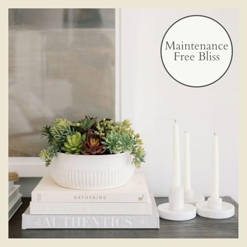 Round Faux Succulent Arrangement, 12" Premium Artificial Indoor Plant Enhances Interior Design, Display on any Surface in Your Home Adding an Inviting Touch of Nature, White Planter Pot Included - size: 12" Round White