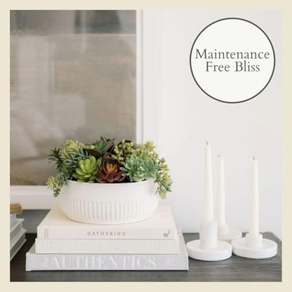 Round Faux Succulent Arrangement, 12" Premium Artificial Indoor Plant Enhances Interior Design, Display on any Surface in Your Home Adding an Inviting Touch of Nature, White Planter Pot Included - size: 12" Round White