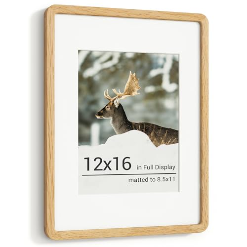 RICHFOCUS 12x16 Picture Frame, Solid Oak Wood Photo Frame with Double Tenon Rounded Corner & Chamfered Curved Edge, 12 by 16 Wooden Frame Matted to 8.5x11 Photos, Diploma Certificate Document Frame - color: Oak, size: 12x16
