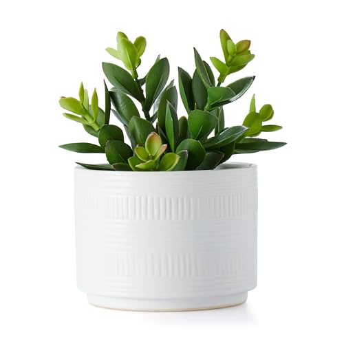 Kurrajong Farmhouse Artificial Plant in White Ceramic Pot | 7.5" Fake Plant for Desk Decor | Artificial Succulent in Pot | Fake Succulent | Faux Plant for Shelf Decor