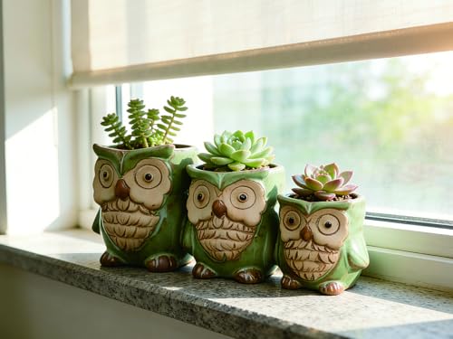 Cute Owl Planter, Small Funny Succulent Pots, Unique Decorative Animal Statue Ceramics Plant Pot for Indoor/Outdoor Home Office with Drainage, Owl Gifts for Women Mother Teacher, Three Owls
