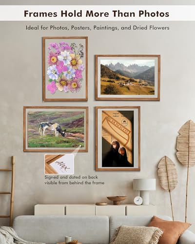 DLQuarts 13x19 Floating Picture Frame for 11x17/11x14 Photos, 2-Pack Solid Wood Double Plexiglass Wall Art Frames, Any Size Photo up to 13x19 Display, Carbonized Wood - color: Carbonized Wood, size: 13x19