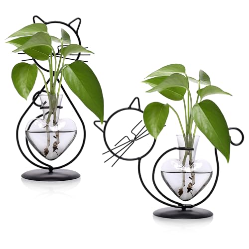 Plant Terrarium Propagation Station Gifts for Women Cat Lover | Plant Lovers Home Office Decor Cat Desk Accessories - color: Gray