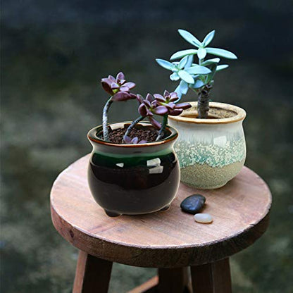 2.1 Inch Ceramic Small Succulent Pot,Plant Pots,Mini Flower Pots | Ceramic Succulent Pots with Drainage,Small Planter for Mini Plant Flowing Glaze Base Serial Set with Holes for Indoor,Outdoor - size: 2.3inch-6pack