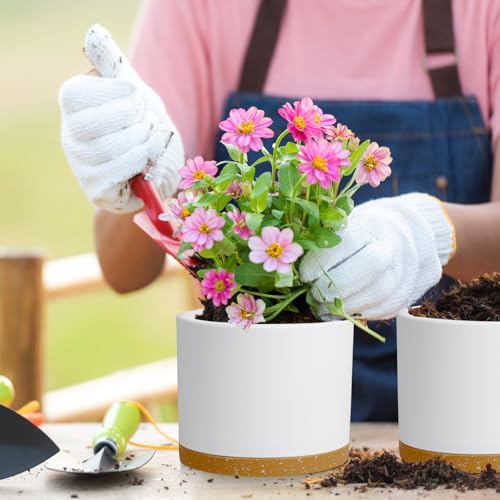 Large Plant Pots Set of 3 – 8", 9", 10" Indoor Flower Pots with Drainage Holes and Saucers, Big Planters for Monstera, Fiddle Leaf Fig, Snake Plant – 5 Colors - color: White With Brown Base