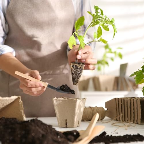 LALAFINA 15pcs Mini Gardening Tools Set for Indoor Plants with Portable Potting and Transplanting Handheld Tools for Succulents and Bonsai Garden Use