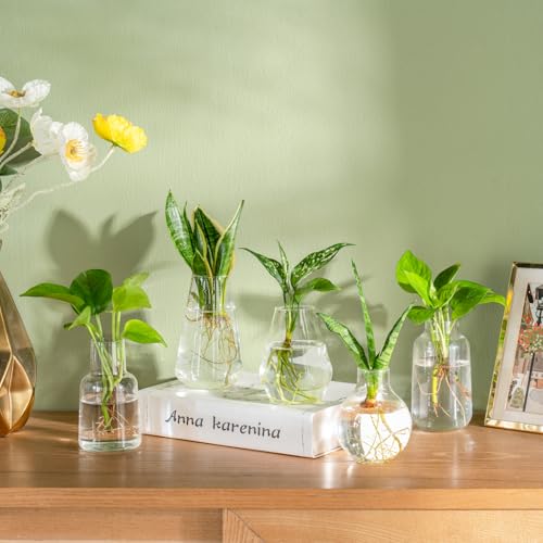 Mkono Propagation Station Wall Planter Hanging Glass Tubes Flower Vase Set
