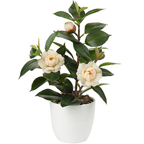 Briful Artificial Plants Mini Camellia Potted Fake Plants Small Faux Plastic Plants Desk Plant Artificial Flowers with Vase for Home Office Desk Kitchen Garden Indoor Decor - color: Style #5