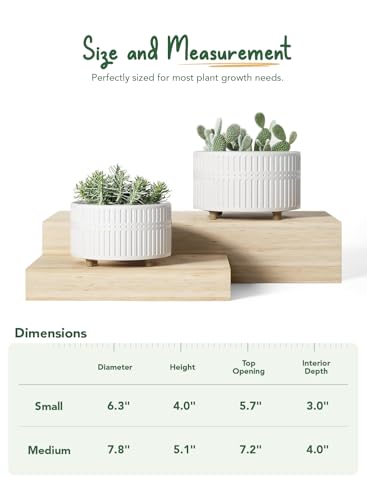 LE TAUCI Succulent Pots, 6.5+8 Inch Ceramic Indoor Plant Pot with Drainage Hole, Shallow Round Succulent Planters, Set of 2, Matte White - color: White