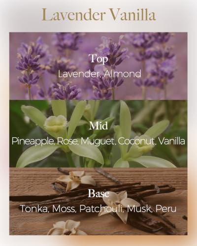 M&SENSE Lavender Vanilla Scented Candles,3 Wick Soy Candles for Home Scented, 12oz Travel Aromatherapy Candle for Stress Relief, 40 Hour Burn Time - color: Lavender Vanilla
