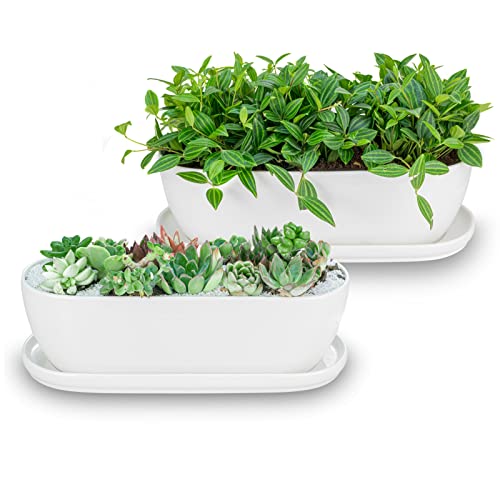 E-liu 11+14 inch Ceramic Plant Pots with Drainage Holes Saucers, Set of 2 | Rectangular Planters Indoor Flower Succulent Pot with Hole Mesh Pad, Gifts for Mom, Plants Not Included - color: White, size: 11+14 inch Set
