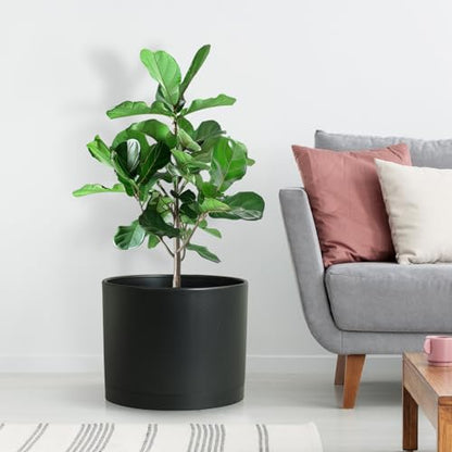 Large Plant Pots Set of 3 – 8", 9", 10" Indoor Flower Pots with Drainage Holes and Saucers, Big Planters for Monstera, Fiddle Leaf Fig, Snake Plant – 5 Colors - color: Black