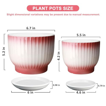 6.7 + 5.5 Inch Ceramic Plant Pots,Set of 2,Planters with Drainage Hole and Saucer,Flower pots for Indoor Plants,Elegant Design(Pink + White, - color: Pink + White