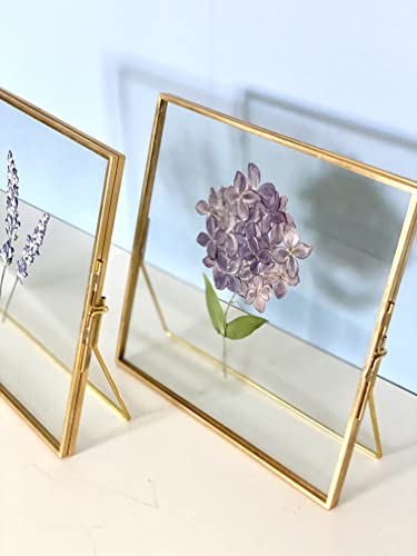 Beedecor Double Glass Frame for Pressed Flowers, Leaf and Artwork Set of 3 Pressed Flower Frames with Stand - 6x6, 5x7 and 6x8 Gold Standing Square Metal Picture Frames, Tabletop Clear Floating Pressed Glass Frame, Home Decor Photo Display (Gold, Set of 3