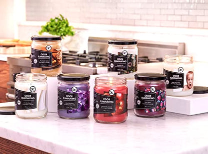 Peppermint Odor Eliminating Highly Fragranced Candle - Eliminates 95% of Pet, Smoke, Food, and Other Smells Quickly - Up to 80 Hour Burn time - 12 Ounce Premium Soy Blend - color: Peppermint