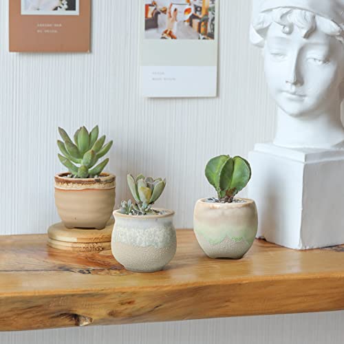 T4U Small Ceramic Succulent Pots with Drainage Set of 6, Mini for Plants, Tiny Porcelain Planter, Air Plant Flower Cactus Faux Plants Containers, Modern Decor Home and Office