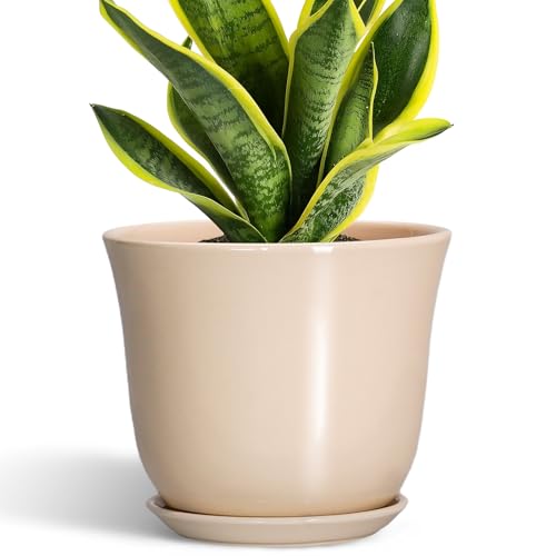 8 Inch Plant Pot, Ceramic Pots for Plants Indoor, Beige | Round Flower Pots with Drainage Hole and Saucer, Modern Decorative Planters, Home Office Desk Room Decor, Plant Lover Gifts - color: Beige, size: 8 Inch