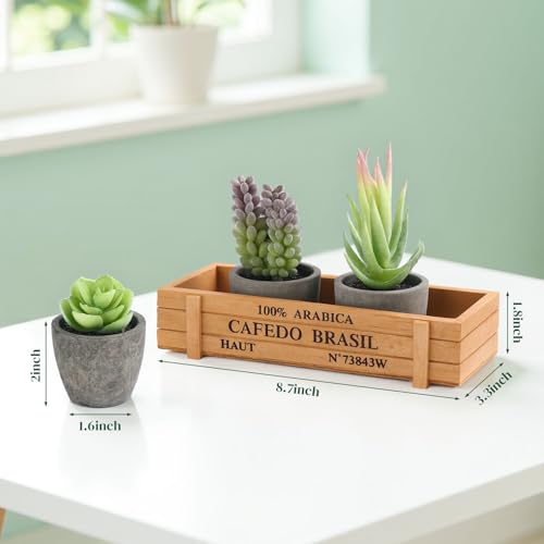 DomeStar Set of 3 Mini Potted Artificial Succulent Plants with Wood Planter | Indoor Office Desk, Apartment Wedding Tabletop, Greenery Decorations