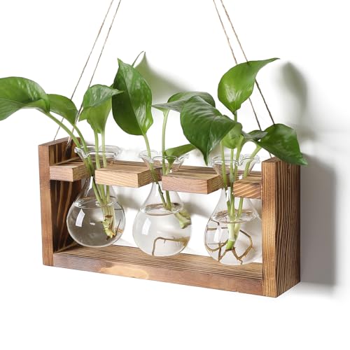 Plant Propagation Station Plant Terrarium Unique Birthday Gifts for Women | Plant Lovers Home Office Decor Planter with Wooden Stand - 3 Bulb Glass Vase - color: Transparent