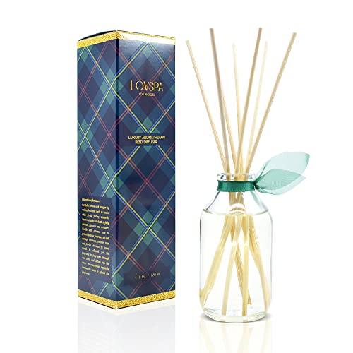 Reed Diffuser Set - Birchwood Pine Scented Diffuser with Sticks | Winter Holiday Home Fragrance Reed Diffuser for Bedroom, Bathroom Shelf Décor - Made in the USA - color: Birchwood Pine