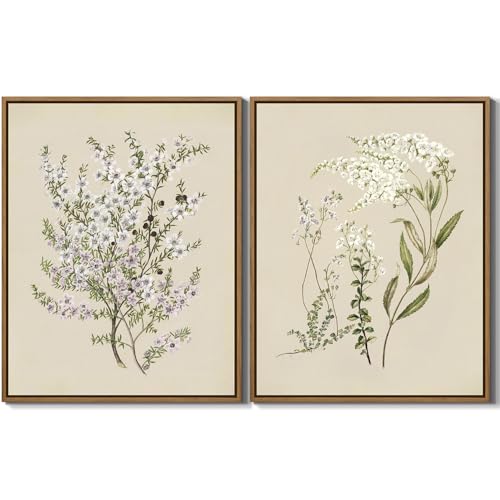 Set of 2 Vintage Floral Botanical Canvas Wall Art Purple White Manuka Flower Pictures Wall Decor Neutral Flower Plants Poster Stretched and Framed for Girls Room Bedroom Farmhouse Decoration, 11"x14" - color: Manuka Flower