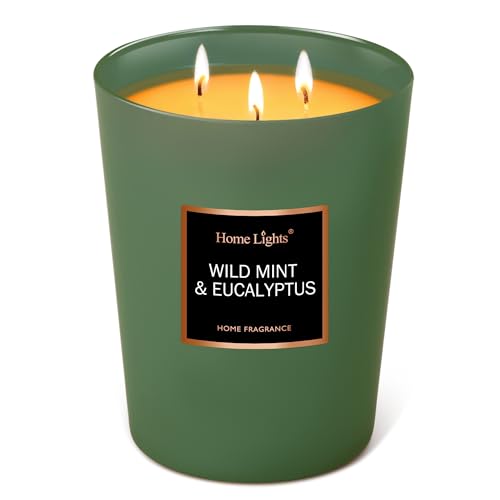 HomeLights Scented Candles - Large Jar Aromatherapy, Natural Soy Wax, 130 Hour Long Burning, Wild Mint & Eucalyptus - color: Wild Mint & Eucalyptus