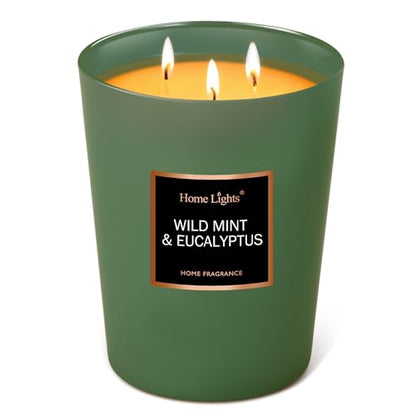 HomeLights Scented Candles - Large Jar Aromatherapy, Natural Soy Wax, 130 Hour Long Burning, Wild Mint & Eucalyptus - color: Wild Mint & Eucalyptus