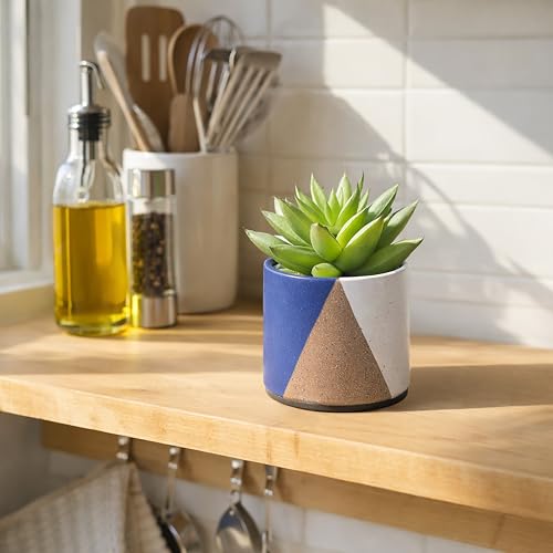 D'vine Dev 2-Pack Cachepot with Clear Pot, 3.5 in, Cobalt Canyon, 93-V-A-3 | Dual-Pot System, Root Visibility, Bottom Watering Support, Enhanced Drainage, Artistic Stoneware Design, Easy Plant Care - color: Cobalt Canyon, size: 3.5” Cachepot + 3“ Clear Gr