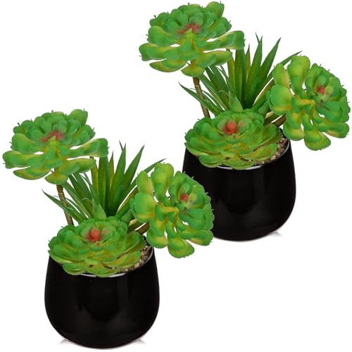 Briful Artificial Succulents Plants in Ceramic Pots, 2 Pack Faux Succulent Set with Black Planters – Modern Desk Decor for Home Office Shelf Bathroom, Small Fake Plants Potted - color: Black# 2pcs