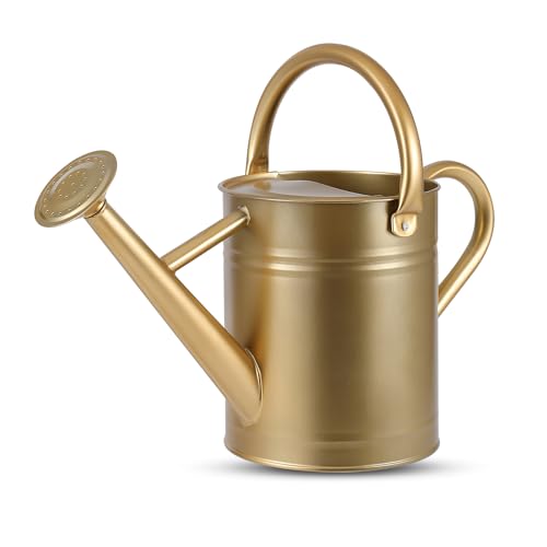 1 Gallon Watering Can for Plants, Watering Cans for Indoor&Outdoor Gardening, Galvanized Steel Watering Pot with Removable Spout, Metal Water Can with Ergonomic Movable Handle(Gold) - color: Gold