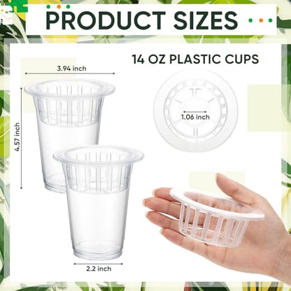 36 Pcs Plastic Plant Propagation Vase for Indoor Decor, 4.57'' | Clear Plastic Vase with Hydroponic Basket, Pet Material, Root Support Design, Easy Water Changes, Home Office Desktop Display - size: 4.57''