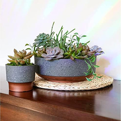 The HC Companies 8 Inch Round Plastic Succulent Capri Bowl 8"x8"x3" in Faux Concrete Color with Copper Band - color: Faux Concrete W/Copper, size: 8"