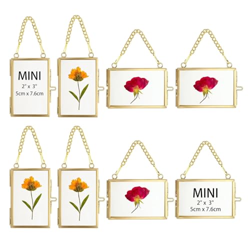 JUXYES 2x3 Hanging Mini Double Glass Picture Frame for Pressed Flower | 8 Pack Wallet Size Tiny Frame Ornament for Xmas Tree Party Wall Decor, Small Gold Brass Floating Display Frame with Chain - color: Vertical + Horizontal, size: 8 Pack