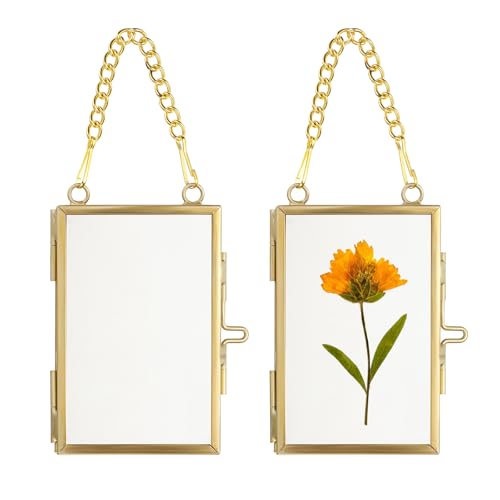 JUXYES 2x3 Hanging Mini Double Glass Picture Frame for Pressed Flower | 2 Pack Small Gold Brass Floating Display Frame with Chain, Wallet Size Tiny Frame Ornament for Xmas Tree Party Wall Decor - color: Vertical, size: 2 Pack