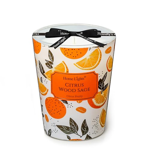 HomeLights Citrus Wood Sage Scented Candles | 6.7oz Soy Candles Eclectic Mixed Styles Large Candle Jars | Ideal Candle Gifts for Events, Home Decor Stress, Relief & Relaxation - color: Citrus Wood Sage