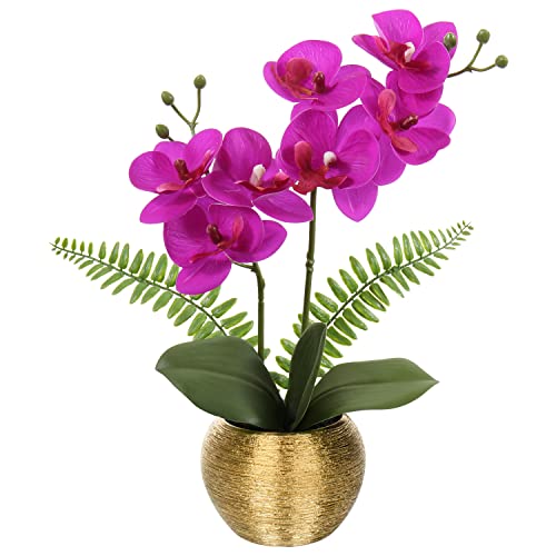 Briful 13" Small Artificial Orchid Flowers in Gold Ceramic Pot Purple Faux Phalaenopsis Orchid Arrangement Faux Orchid Plant for Bathroom Vanity Bedroom Nightstand Office Desk Shelf Decor - color: Purple Orchids Gold Vase
