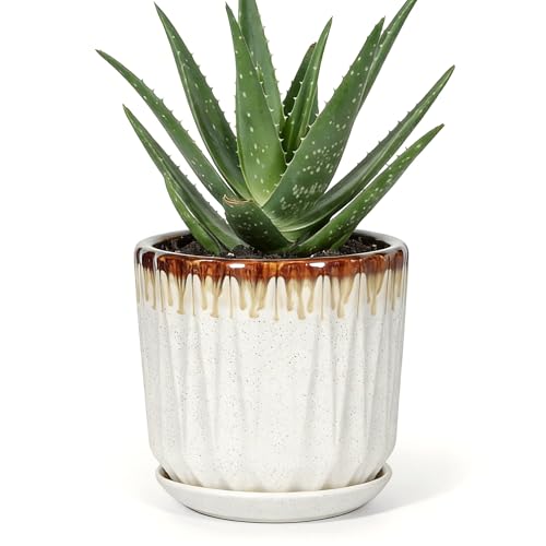 7.5 Inch Ceramic Planter Pot with Saucer Drainage Leak-Proof Mesh,Flower Pots for Indoor Plants with Gardening Gloves,Ceramic Planter(Linen White) - color: Linen White, size: 7.5 Inch