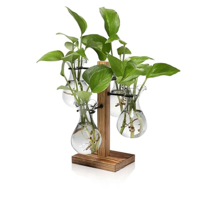 Plants Propagation Stations Bulb Glass Propagation Birthday Gift for Women | Garden Plant Lovers - 4 Bulb - color: Gray