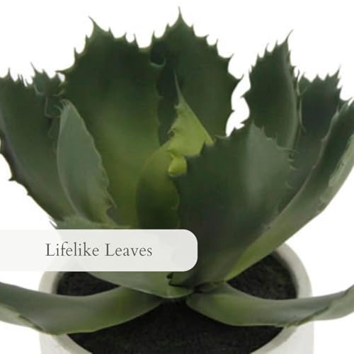 CG Hunter Round Faux Succulent Arrangement, Set-of-2 Premium Artificial Indoor Plants Enhances Interior Design, Display on Any Surface in Your Home Adding an Inviting Touch of Nature, Pots Included - size: 10" Round Set-of-2