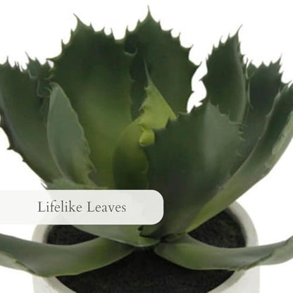 CG Hunter Round Faux Succulent Arrangement, Set-of-2 Premium Artificial Indoor Plants Enhances Interior Design, Display on Any Surface in Your Home Adding an Inviting Touch of Nature, Pots Included - size: 10" Round Set-of-2