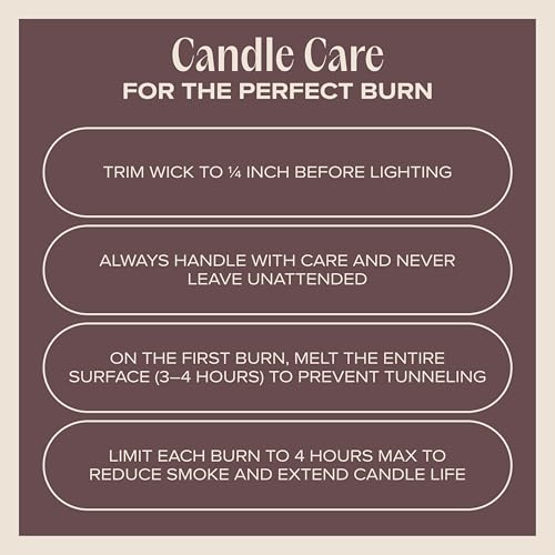 Celebrate the Season Pet-Friendly Scented Candle – Cookie Butter, Brown Sugar & Vanilla Fragrance - Coconut Soy Wax Candle with Wooden Wick, 50-Hour Burn Time, Made in USA, 11.8 oz - color: Celebrate the Season