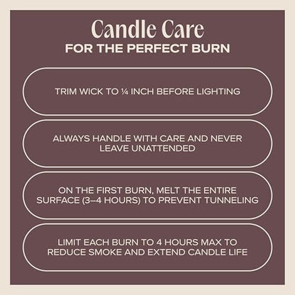 Celebrate the Season Pet-Friendly Scented Candle – Cookie Butter, Brown Sugar & Vanilla Fragrance - Coconut Soy Wax Candle with Wooden Wick, 50-Hour Burn Time, Made in USA, 11.8 oz - color: Celebrate the Season