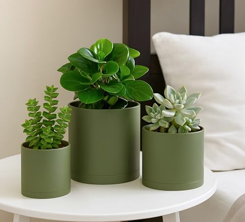 D'vine Dev 3-Pack Plastic Pots & Saucers, 4/5/6 in, Olive, 74-V-I-1 | Multi-Size Options, Lightweight Durable, Matte Finish, Cylinder Shape, Drainage Holes, Sleek Design, Detachable Saucer - color: Olive, size: Small