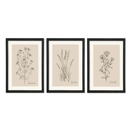 Vintage Botanical Prints Wall Art 11x16–3 Pc Black Frame Bathroom Decor | Minimalist Rustic Wildflower Pictures Floral Sign Bedroom Wall Hanging - color: Vintage Botanical (Black), size: 16"L x 11"W