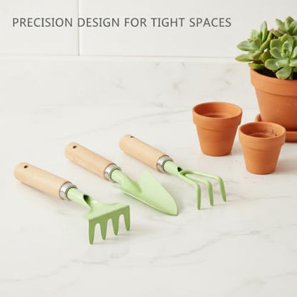 3-Piece Mini Garden Tool Set with Beech Wood Handles and Iron Heads for Indoor Plants, Succulents, and Small Pots - size: 11.02 x 3.15 x 1.18 in