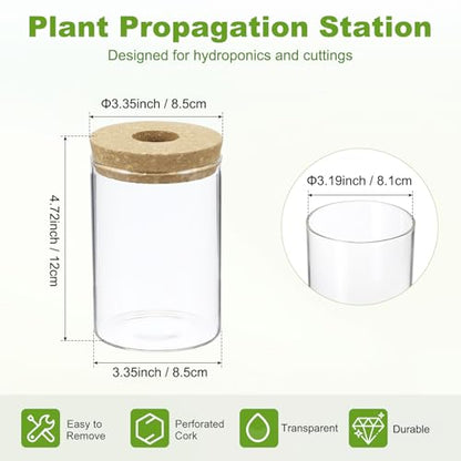 M METERXITY 1 Pack Glass Planter Terrarium with Wooden Cover, Desktop Plant Propagation Station Clear Vase for Hydroponic Plants Propagation/Home Garden Decor/Plant Lover [3.35'' x 4.72''] - size: 3.35'' x 4.72''