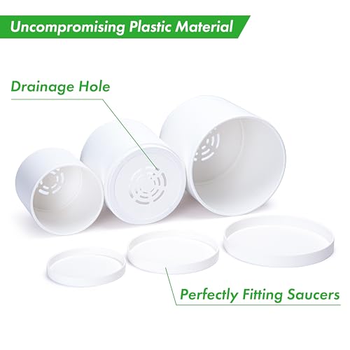 D'vine Dev 3-Pack Plastic Pots & Saucers, 4/5/6 in, White, 74-V-A-1 | Multi-Size Options, Lightweight Durable, Matte Finish, Cylinder Shape, Drainage Holes, Sleek Design, Detachable Saucer - color: Matte White, size: Small