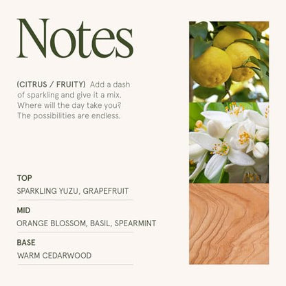 LA JOLIE MUSE Yuzu Neroli Scented Candles for Home, Natural Soy Wax 40 Hrs | Luxury Fresh Jar Candle, Clean Non Toxic, Gift for Women & Men, Spring Summer Candles, Pretty Candle, Citrus Orange Spearmint - color: Yuzu & Neroli Blossom
