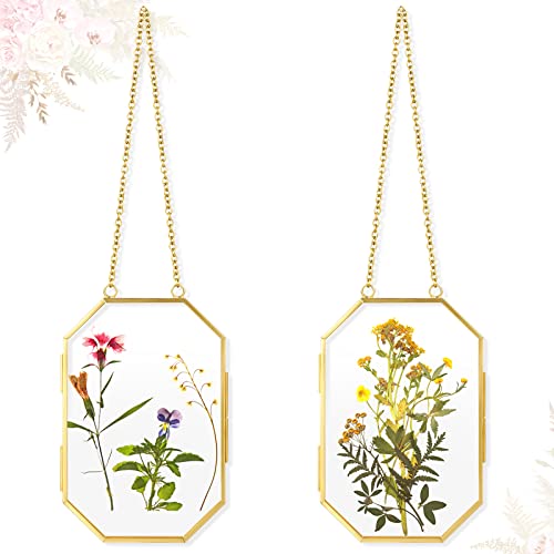 Qunclay 2 Pcs Double Glass Frame for Pressed Flower Frames Floating Wall Hanging Metal Chain for Display Dried Plant Specimen Picture Pretty Gifts for Mom Friends DIY Handy Craft(Gold,4 x 6 Inch) - color: Gold, size: 4 x 6 Inch